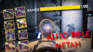 Undeniable Proof that Auto Rifles are METAH AGAIN Thank You Bungo [upl. by Acinom]