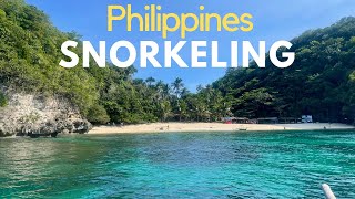 Best Places For Snorkeling In Philippines  Cebu [upl. by Eirollam]