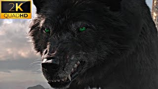 Hulk Vs Fenris Wolf Scene  Thor Ragnarok Movie Scene HD  Hulk Fights Fenris Wolf  No Logo Clips [upl. by Crosley]