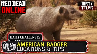 American Badger Locations rdr2 Online  Red Dead Online American Badgers Location Guide [upl. by Oneill219]