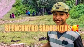 EL SABOCHI ANDA EN BUSCA DE UNA SABOCHITA FUIMOS A OTRO RANCHO 🏞️ [upl. by Sterner]