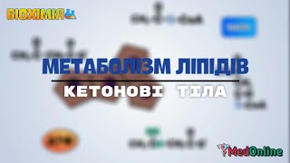 Метаболізм Ліпідів  Кетогенез та Кетоліз Кетоацидоз [upl. by Okoyk726]