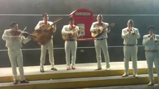 Mariachi Angeles Regios Monterrey 818 1199 532 [upl. by Binky149]