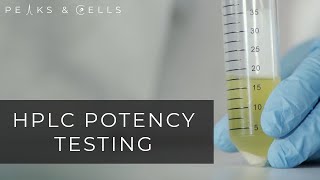 Cannabis Testing Guide Sample Preparation and Analytical Method for Potency 2022 UPDATED [upl. by Soisatsana719]