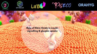 Role of Nitric Oxide in insulin signallingInsulin ResistanceType 2 diabetesOral microbiome [upl. by Nunci]