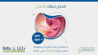 فحص الحمل الوراثي NIPT  مختبرات دلتا الطبية [upl. by Berk]