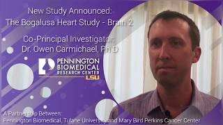 Dr Owen Carmichael  Bogalusa Heart Study  Brain 2 [upl. by Ibbor]