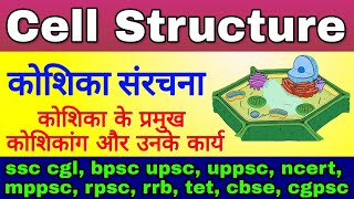 कोशिका संरचना  Koshika ki sanrachna  cell Structure and Function  Plants Cell Cell Organelles [upl. by Assirialc]