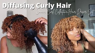 How To Diffuse Curly Hair For Volume  Conair The Curl Collective Hair Dryer Set [upl. by Giselle342]