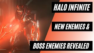 Halo Infinite  New Enemies and Boss Fights [upl. by Iand]