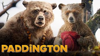 Paddington Full Movie Fact in Hindi  Hollywood Movie Story  Ben Whishaw  Hugh Bonneville [upl. by Lisette]