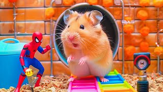 Hamster Outsmarts Squid Game Guard in Epic Maze Escape 🐹 Hamster Maze [upl. by Fidelity20]