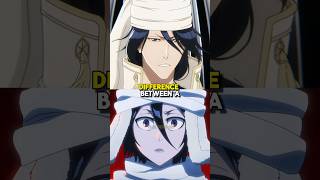 One More Useless Bleach Explanation bleach bleachanime anime [upl. by Neetsirhc36]