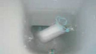 tampon expand and flush [upl. by Niawtna]