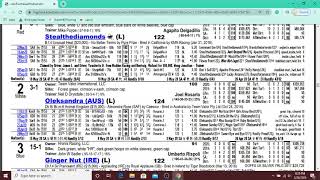 Free Horse Racing Handicapping System that Works  Weight System [upl. by Sclar]