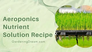 Aeroponics Nutrient Solution Recipe [upl. by Idihsar]