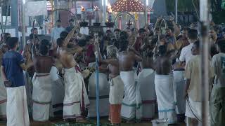 Panchari Melam A Traditional Kerala Percussion Ensemble  Vlog [upl. by Melquist687]