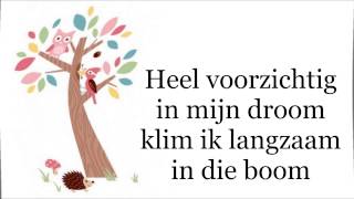 De Droomboom instrumentaal met lyrics [upl. by Menell]