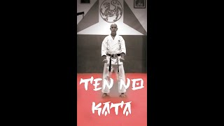 Ten No Kata Shotokan [upl. by Hannan]