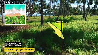 785 sqm Palawan Beach lot for sale  Palm Shore Gold LOT 14 [upl. by Naaman]