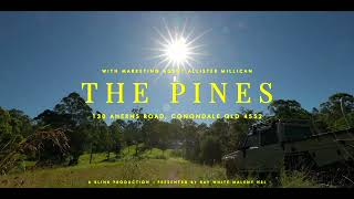 quotThe Pinesquot 130 Aherns Road Conondale QLD  Where Dreams Meet Reality Amidst Natures Grandeur [upl. by Frasier]