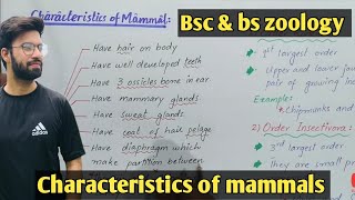 Characteristics evolution and diversity of mammals class bsc and bs zoology [upl. by Arahsal287]