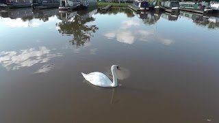 Droitwich Spa Marina [upl. by Nylekcaj]