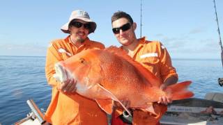 Centurion fishing charter with Reefari mothershipping the Great Barrier Reef Day 1 [upl. by Lekkim]