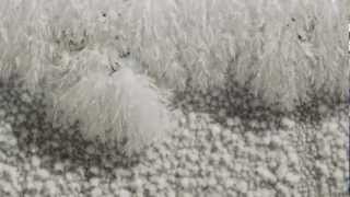 Ice Crystals Growing Time lapse [upl. by Arikahc]