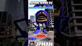 Nhím Shin Sonic Đi Dạo Phố jpman shinsonic sonictapes [upl. by Morel]