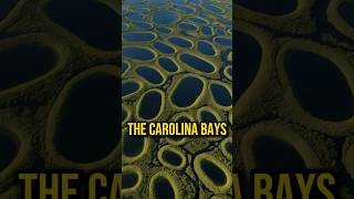 Evidence of an Ancient Catastrophe Carolina Bays mystery history ancient joerogan shorts jre [upl. by Neelyhtak]