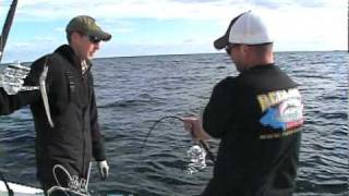 Huge Bluefin Tuna on Spinning Gear with Reel Deal Charter Capt Bobby Rice [upl. by Oflodur97]