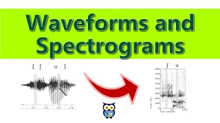 Waveforms and Spectrograms [upl. by Max]