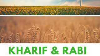 kharif and rabi crops in hindi [upl. by Satterfield947]