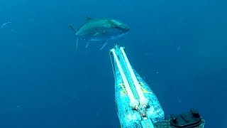 MEDREGALES a la ESPERA y al ACECHO en CANARIAS🇮🇨  RICCIOLA SERVIOLAAMBERJACK [upl. by Pappano]