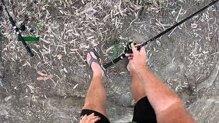 bank fishing with bait in the wimmera river [upl. by Maddocks]