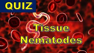 QUIZ  Tissue Nematode infections W bancrofti B malayi L loa O volvulus T spiralis [upl. by Enyar]