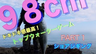 【衝撃】ショアジギング 98cmブリ ルアー釣り PART 1 トップウォーターゲーム青物 巨大鰤を釣る Shore Jigging Blue Lure Fishing japan [upl. by Aerdnac]