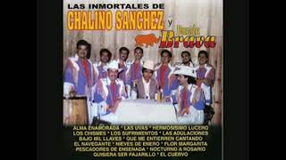 Chalino Sanchez y La Banda Braba  Disco Completo [upl. by Rehpitsirhc]