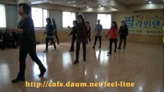 Bosa Nova Line Dance [upl. by Issim]