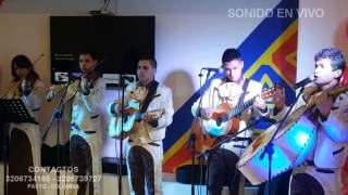 Motivos cover Alex Ramos y su Mariachi Mexico Contemporaneo [upl. by Aitnas]