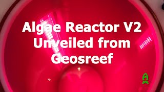 New and Improved Algae Reactor from Geosreef  RAP Orlando 2024 [upl. by Eecats561]