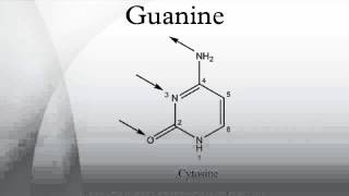 Guanine [upl. by Colin]