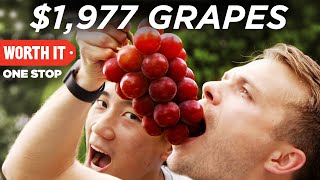 1977 Japanese Grapes [upl. by Aridan]