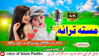 Pashto Beautiful song and Awesome wesome local Dance 2017 [upl. by Aserat]