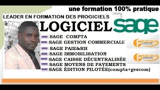 SAGE SAARI COMMENT DÉBUTER MON 1er PARAMÉTRAGE AVEC SAGE [upl. by Ahsam]