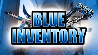 The BEST BLUE Themed INVENTORY For CS2 w Knife and Glove Combos [upl. by Missy]