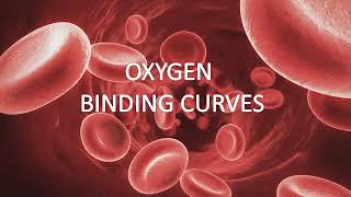 Hemoglobin and Myoglobin structures oxygen binding curves Tstate and Rstate of Hemoglobin [upl. by Jarred]