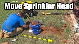 How to Move or Repair a Sprinkler Head [upl. by Collen711]