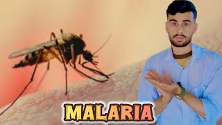 Malaria  malaria bukhar  malaria fever symptoms and treatment what is malaria [upl. by Auoh]